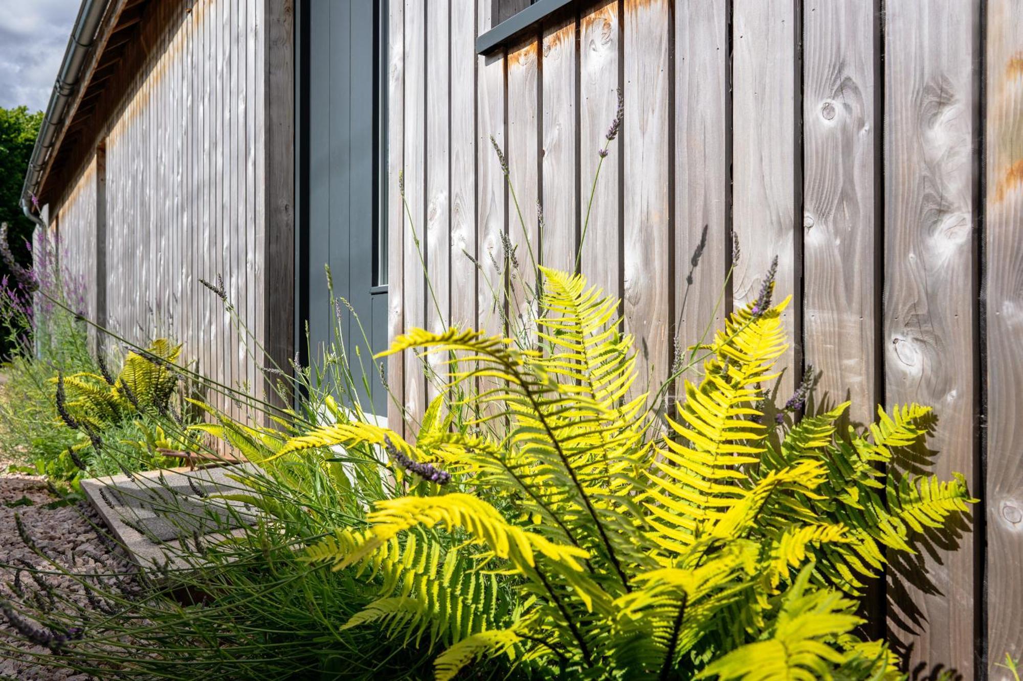 Sunnybrook - A Luxurious Carbon Neutral House Close To Beach, Shaldon Exterior photo